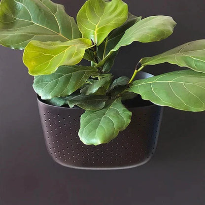 WallyGrow Eco Wall Planters